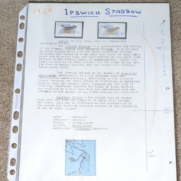 Ipswich Sparrow Home Design Stamp - Picture 1 of 2